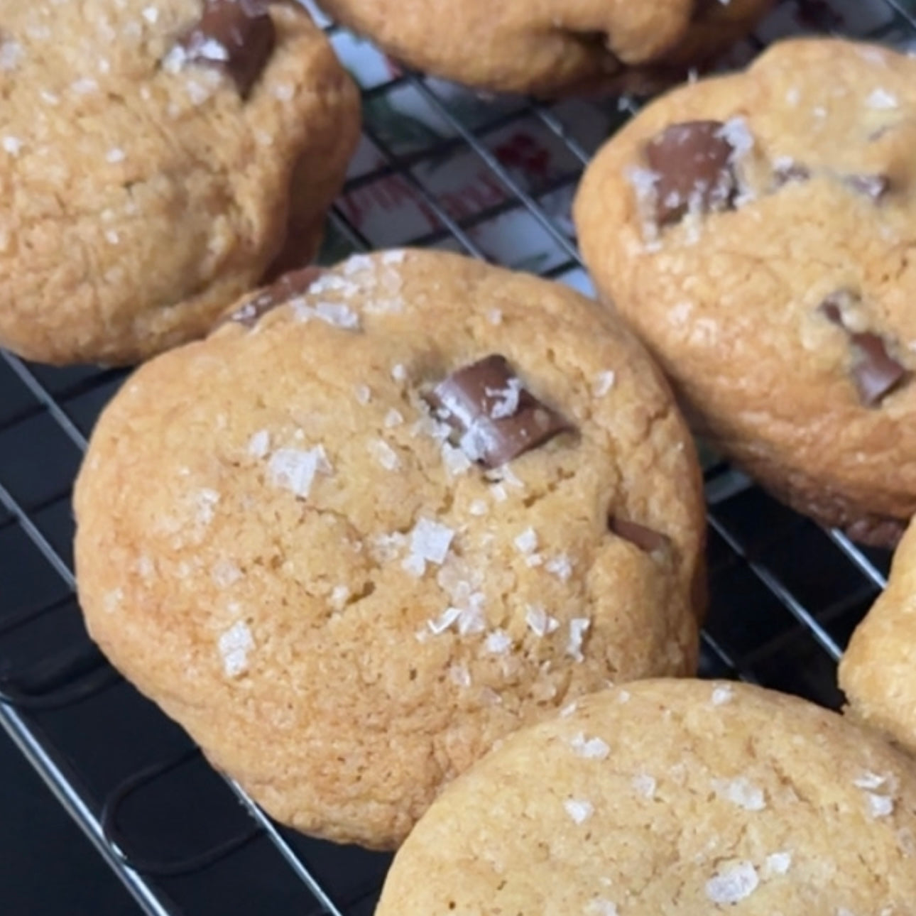 Chocolate Chunk Cookies