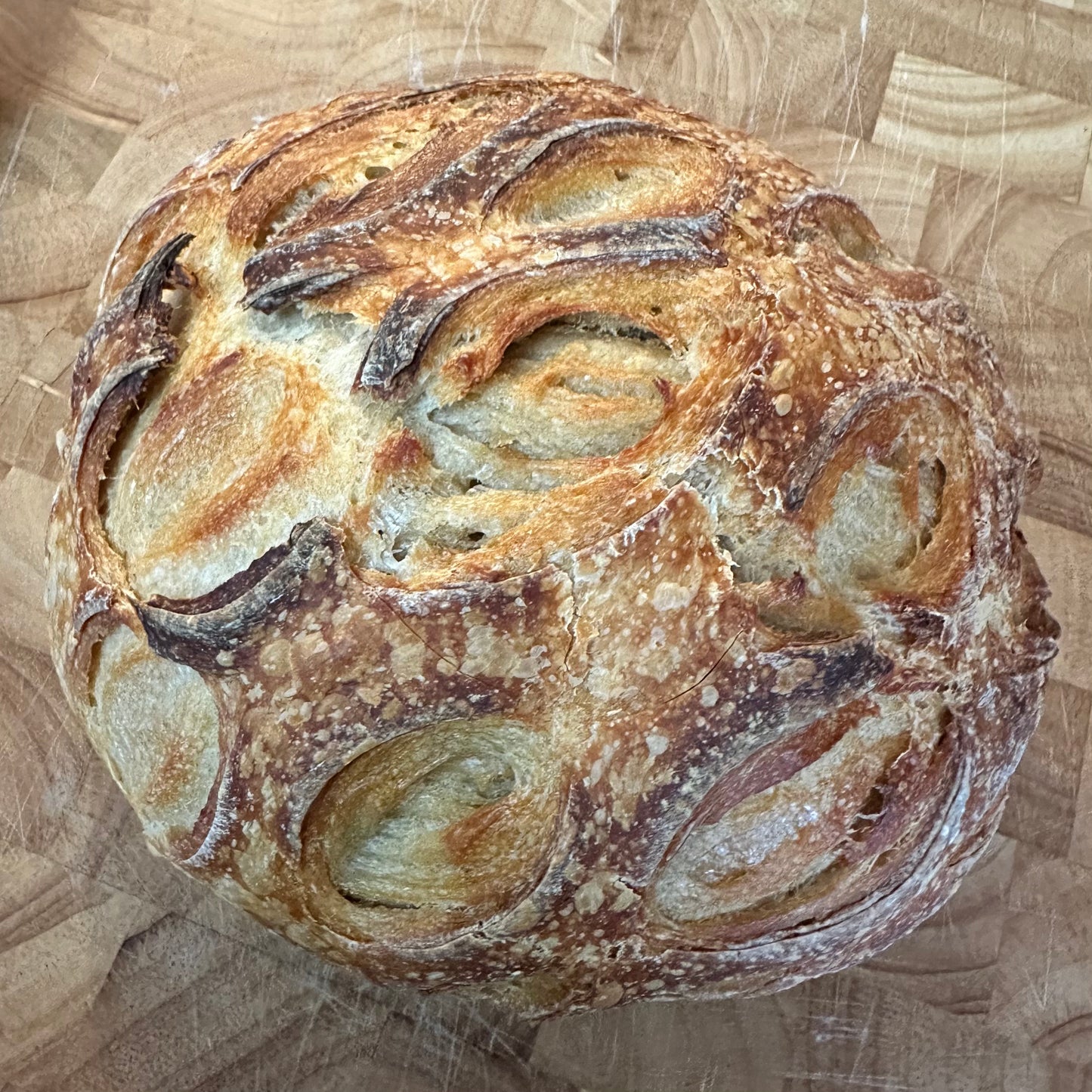 Garlic Sourdough Loaf