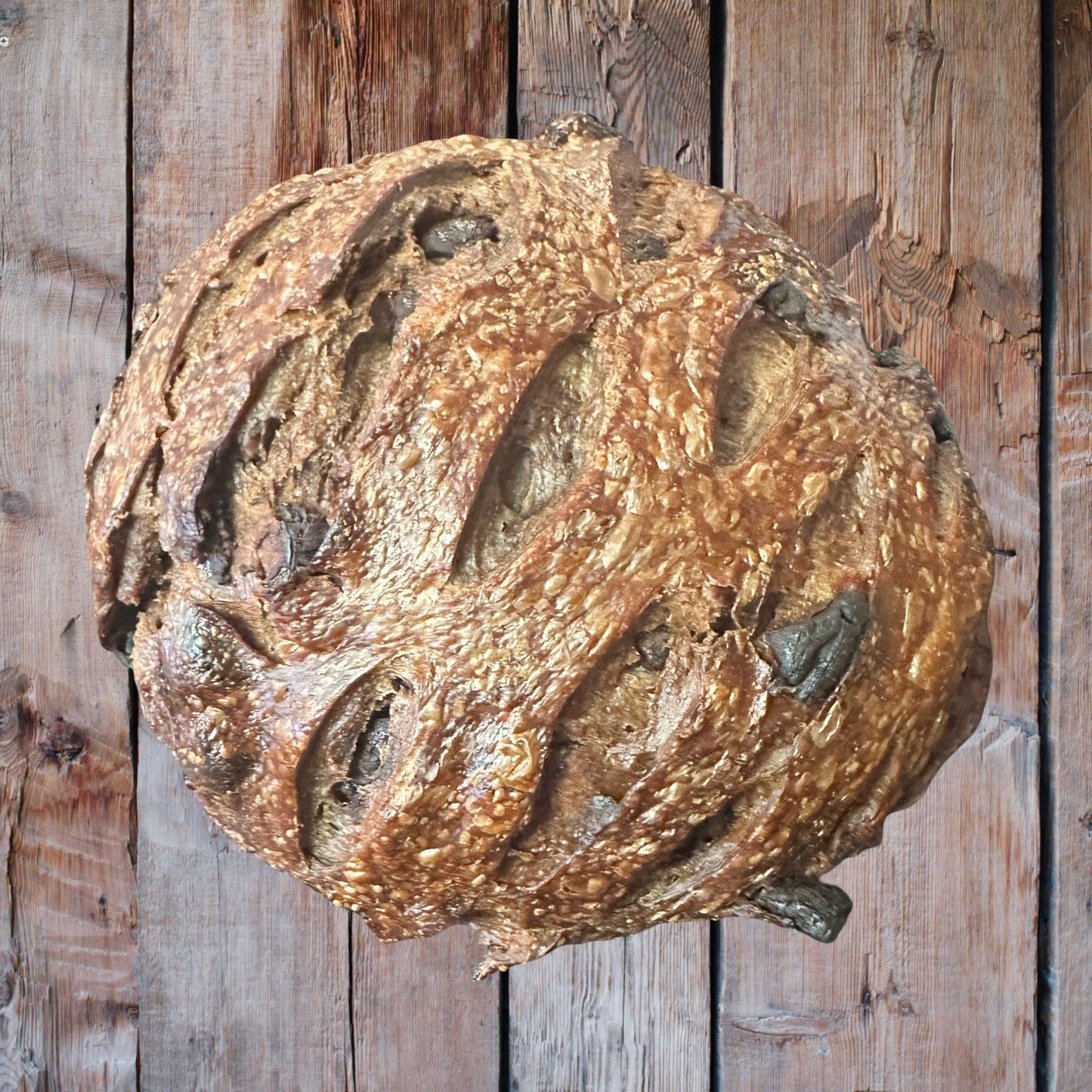 Double Chocolate Sourdough Loaf