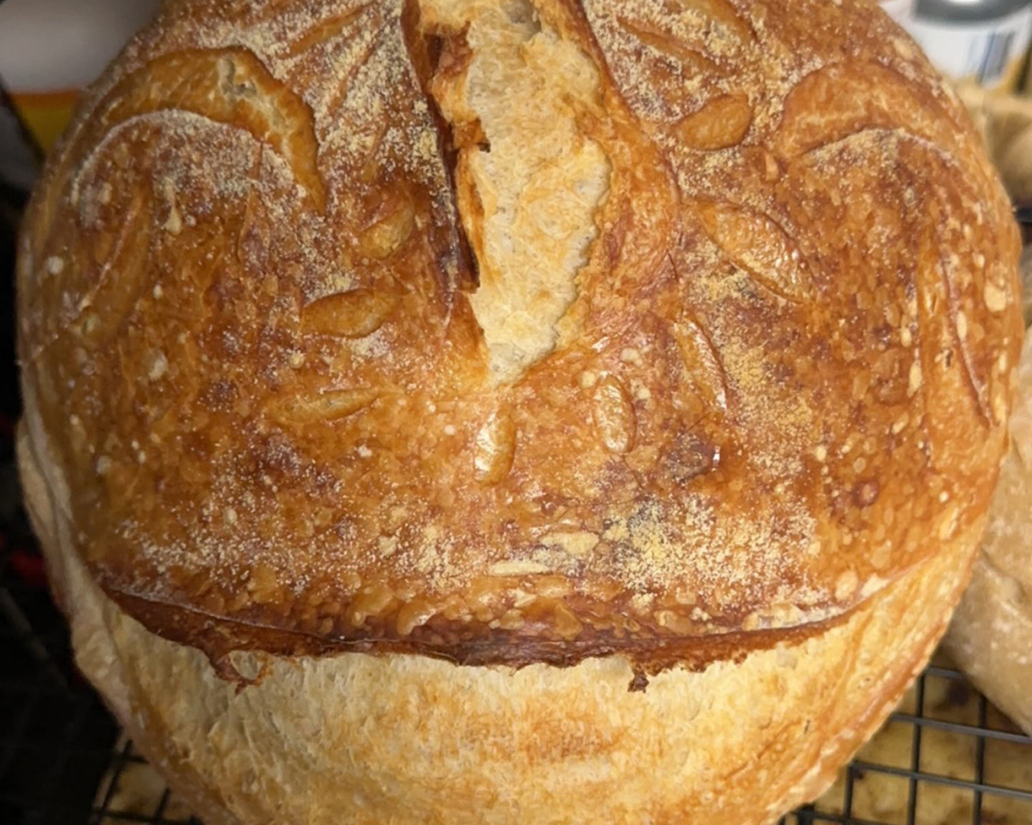Plain Sourdough Loaf